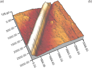 Nanoscale ສາມຈຸດ (4)